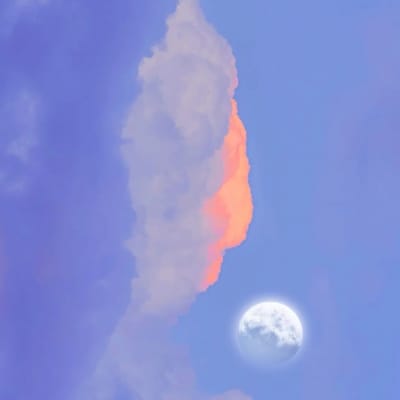 انضمام الحق avatar