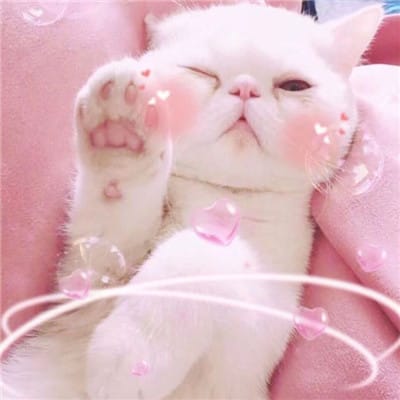 عبد الرزاق avatar